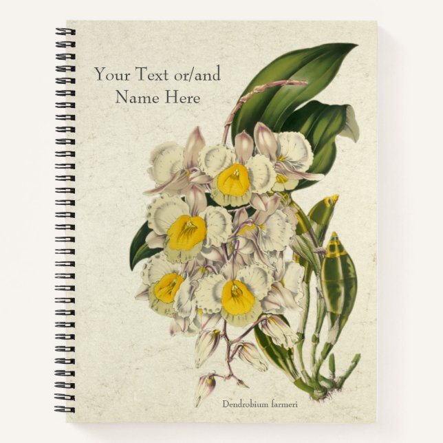 Cuaderno Orquídea Dendrobium farmeri vintage (Anverso)