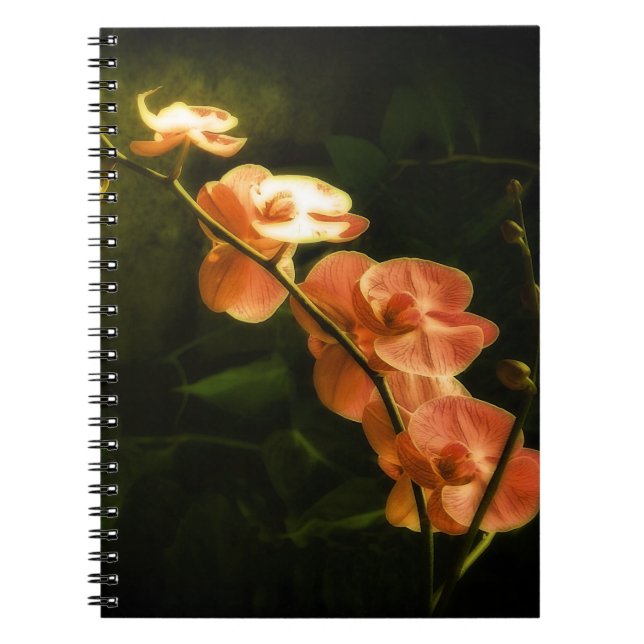 Cuaderno Orquídea Naranja (Frente)