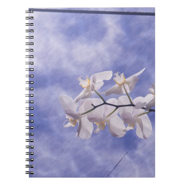 Cuaderno Orquídea polilla (Frente)