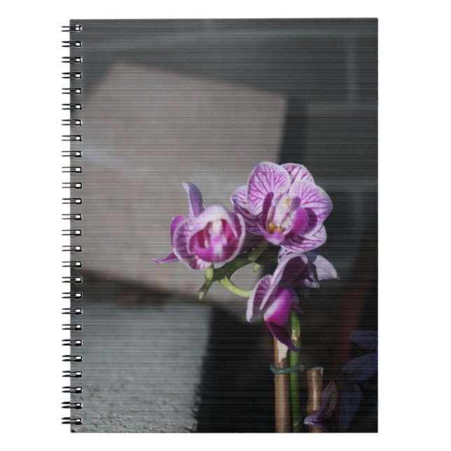 Cuaderno Orquídea púrpura (Frente)