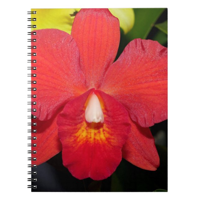 Cuaderno Orquídea Roja Exótica (Frente)