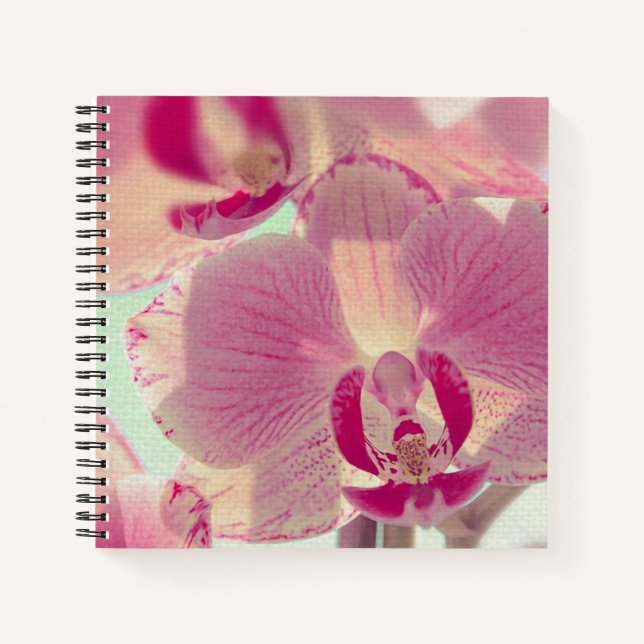 Cuaderno Orquídea rosa (Anverso)