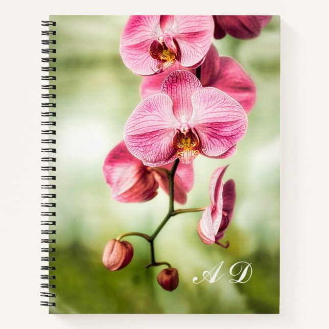 Cuaderno Orquídea rosa (Anverso)