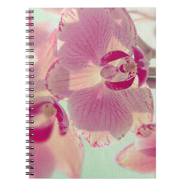 Cuaderno Orquídea rosa (Frente)