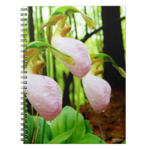 Cuaderno Orquídea salvaje de señora deslizador rosada