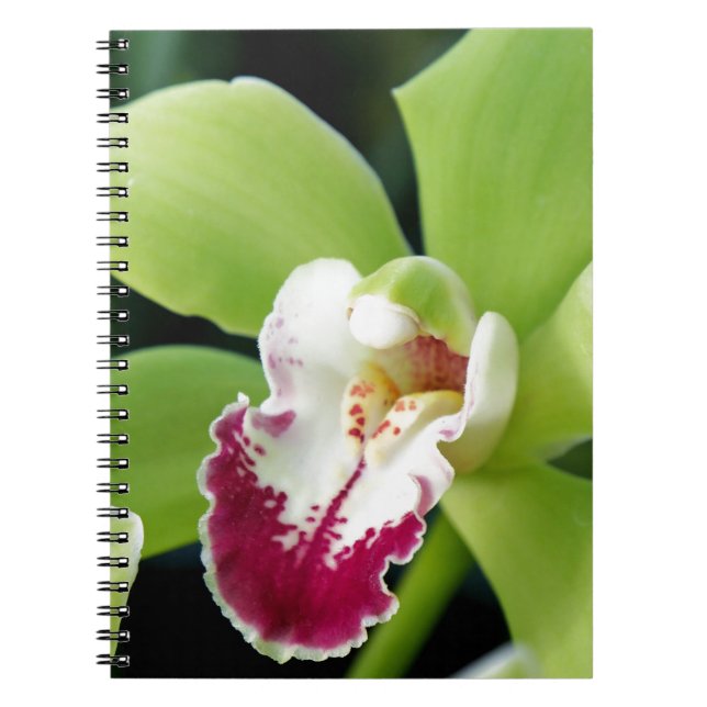 Cuaderno Orquídea Verde (Frente)