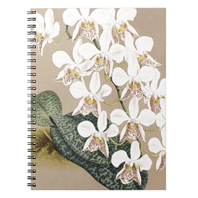 Cuaderno Orquídeas (Frente)