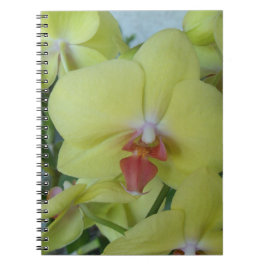 Cuaderno Orquídeas amarillas