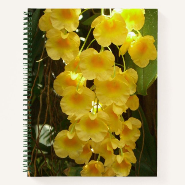 Cuaderno Orquídeas Amarillas colgando flores tropicales (Anverso)