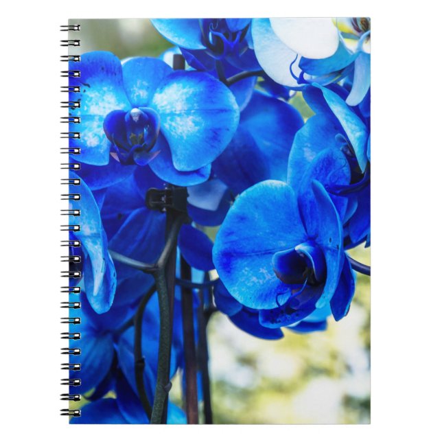 Cuaderno Orquídeas azules (Frente)
