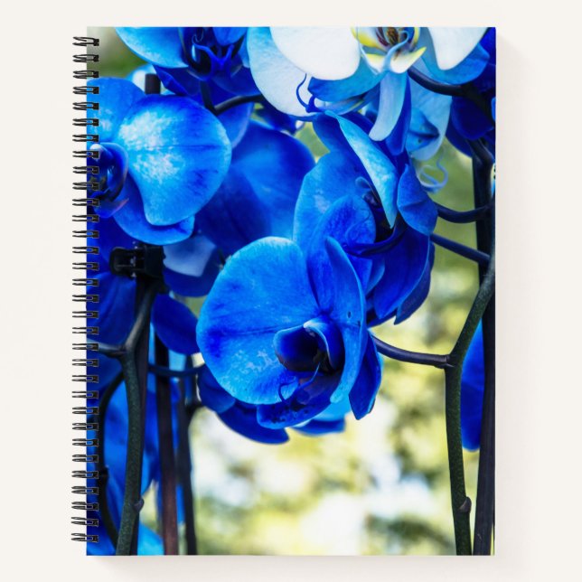 Cuaderno Orquídeas azules (Anverso)