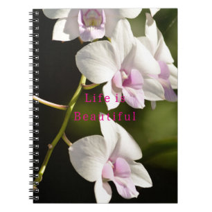 Cuaderno Orquídeas Blancas Rosadas de Kauai (foto tomada po