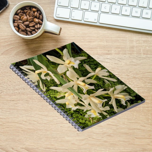 Cuaderno Orquídeas blancas y floral (In Situ)