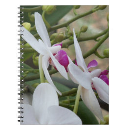Cuaderno Orquídeas blancas y violetas en un portátil prácti