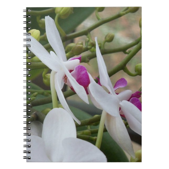 Cuaderno Orquídeas blancas y violetas en un portátil prácti (Frente)