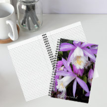 Orquídeas Florales de Ventana Pleione
