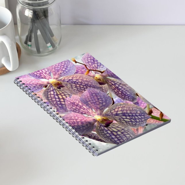 Cuaderno Orquídeas Florales Vanda Moradas (In Situ)