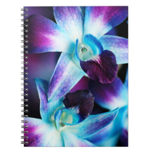 Cuaderno Orquídeas modificadas para requisitos particulare