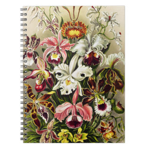 Cuaderno Orquídeas Orchideae Denusblumen Ernst Haeckel