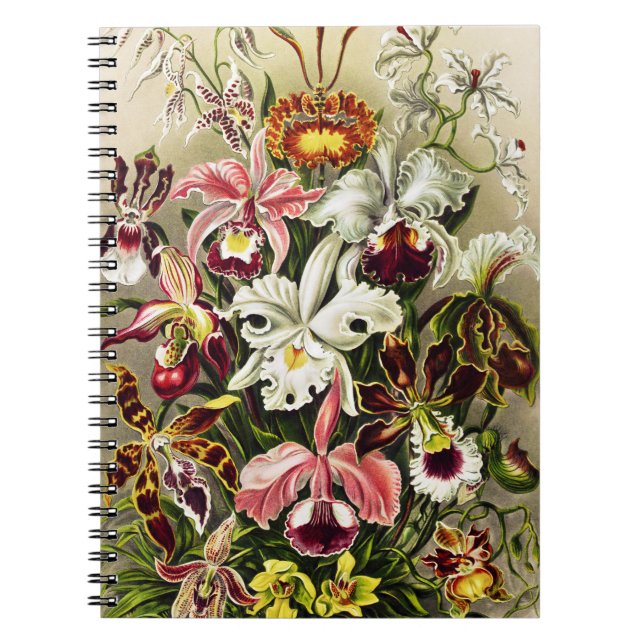 Cuaderno Orquídeas Orchideae Denusblumen Ernst Haeckel (Frente)