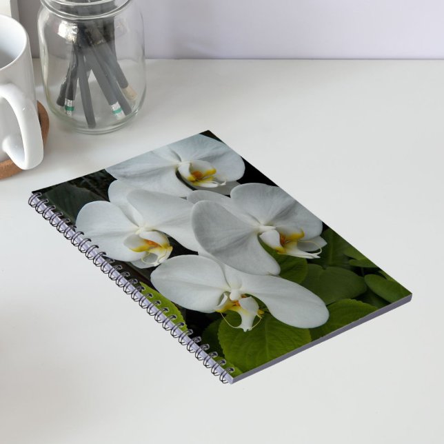 Cuaderno Orquídeas Phalaenopsis Blancas Floral (In Situ)