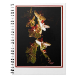 Cuaderno Orquídeas rayadas