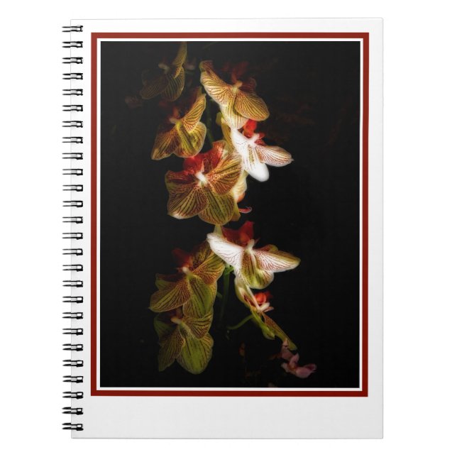 Cuaderno Orquídeas rayadas (Frente)