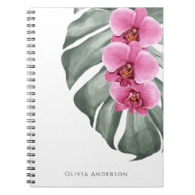 Orquídeas Rosa Caliente Floral Tropical Acuarela