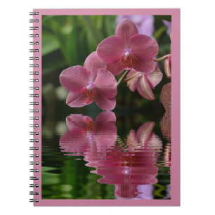 Cuaderno Orquídeas Rosadas Con Reflexiones