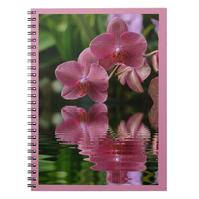 Cuaderno Orquídeas Rosadas Con Reflexiones (Frente)