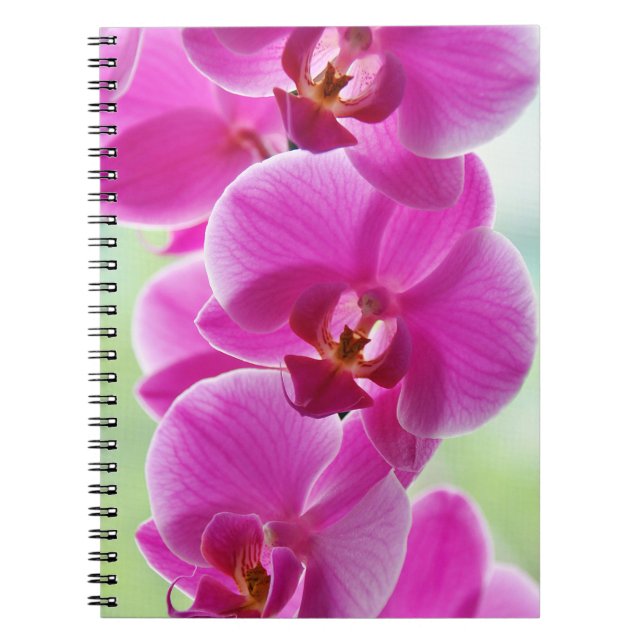 Cuaderno Orquídeas rosadas encantadoras (Frente)