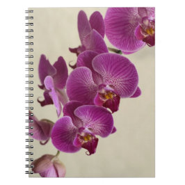 Cuaderno Orquídeas rosas
