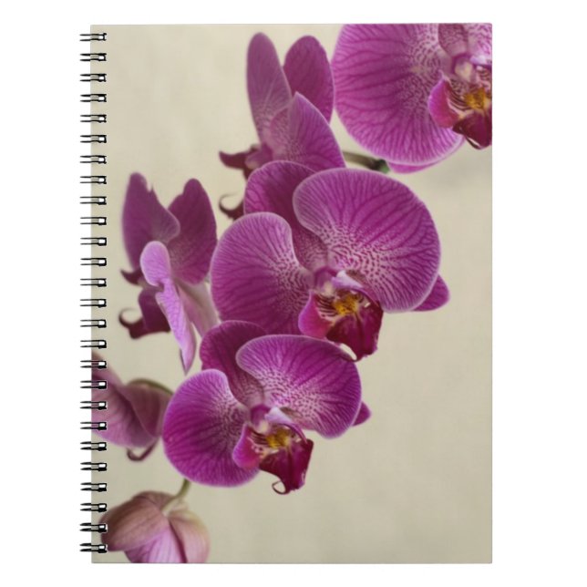 Cuaderno Orquídeas rosas (Frente)