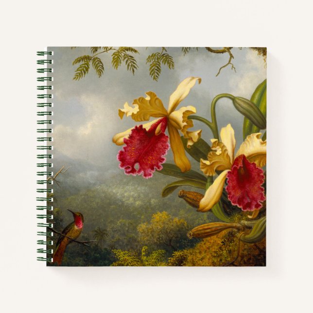 Cuaderno Orquids y Hummingbird Heade (Anverso)