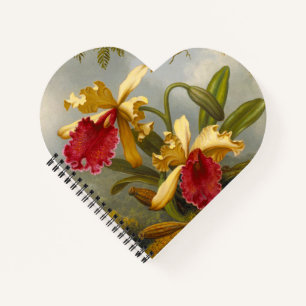 Cuaderno Orquids y Hummingbird Heade