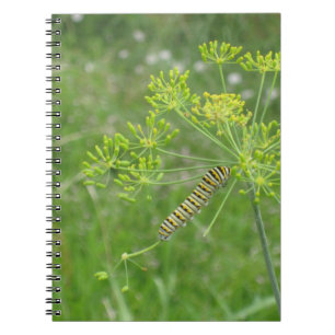 Cuaderno oruga