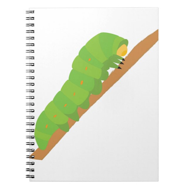 Cuaderno oruga (Frente)