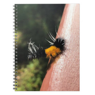 Cuaderno oruga de baile