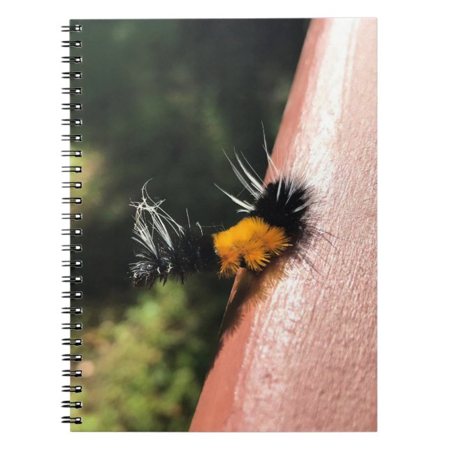 Cuaderno oruga de baile (Frente)