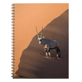 Cuaderno Oryx al borde, Namibia