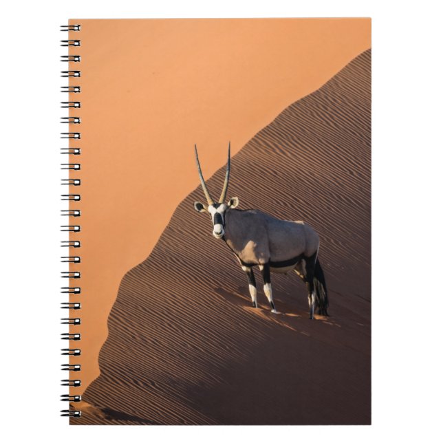 Cuaderno Oryx al borde, Namibia (Frente)