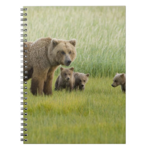 Cuaderno Osa de oso pardo de Alaska y tres crías, Ursus