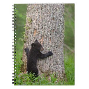 Cuaderno Osezno de oso negro Grandes Montañas Humeantes
