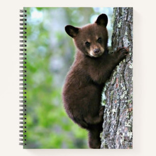 Cuaderno Osezno subiendo a un árbol,