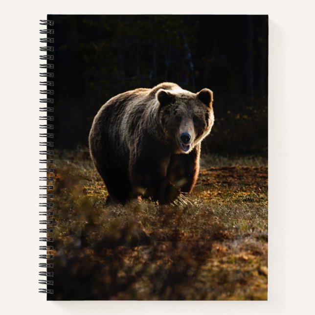 Cuaderno Oso (Anverso)
