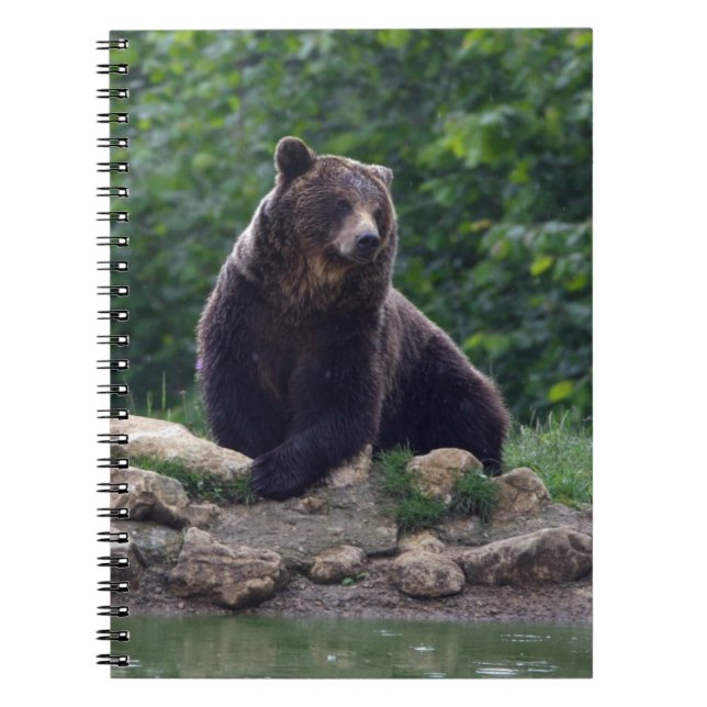 Cuaderno Oso de Brown (Frente)