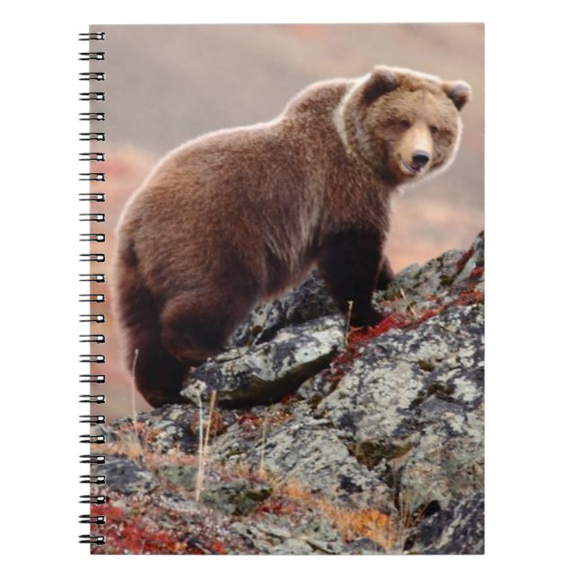 Cuaderno Oso de Denali Brown (Frente)