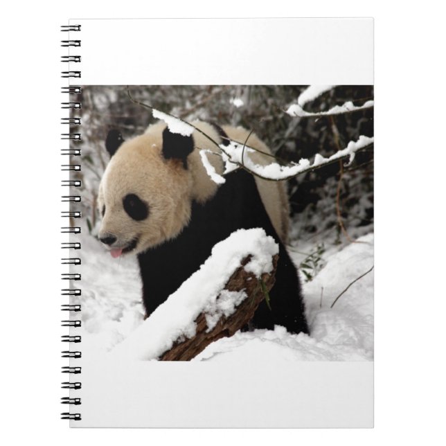 Cuaderno Oso de panda (Frente)