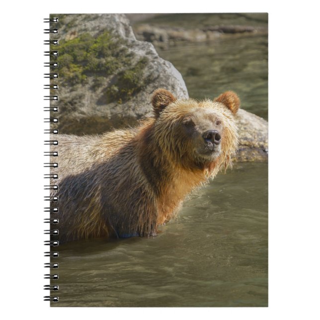 Cuaderno Oso Grizzly Salvaje En El Río Orford (Frente)