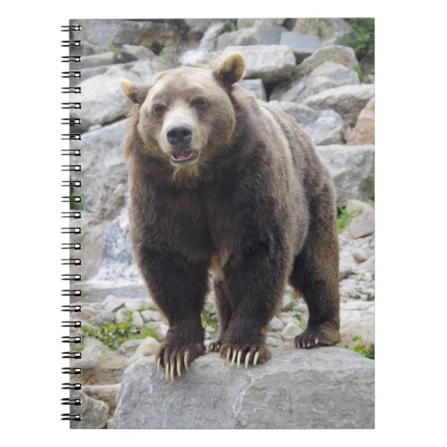 Cuaderno Oso Kodiak (Frente)